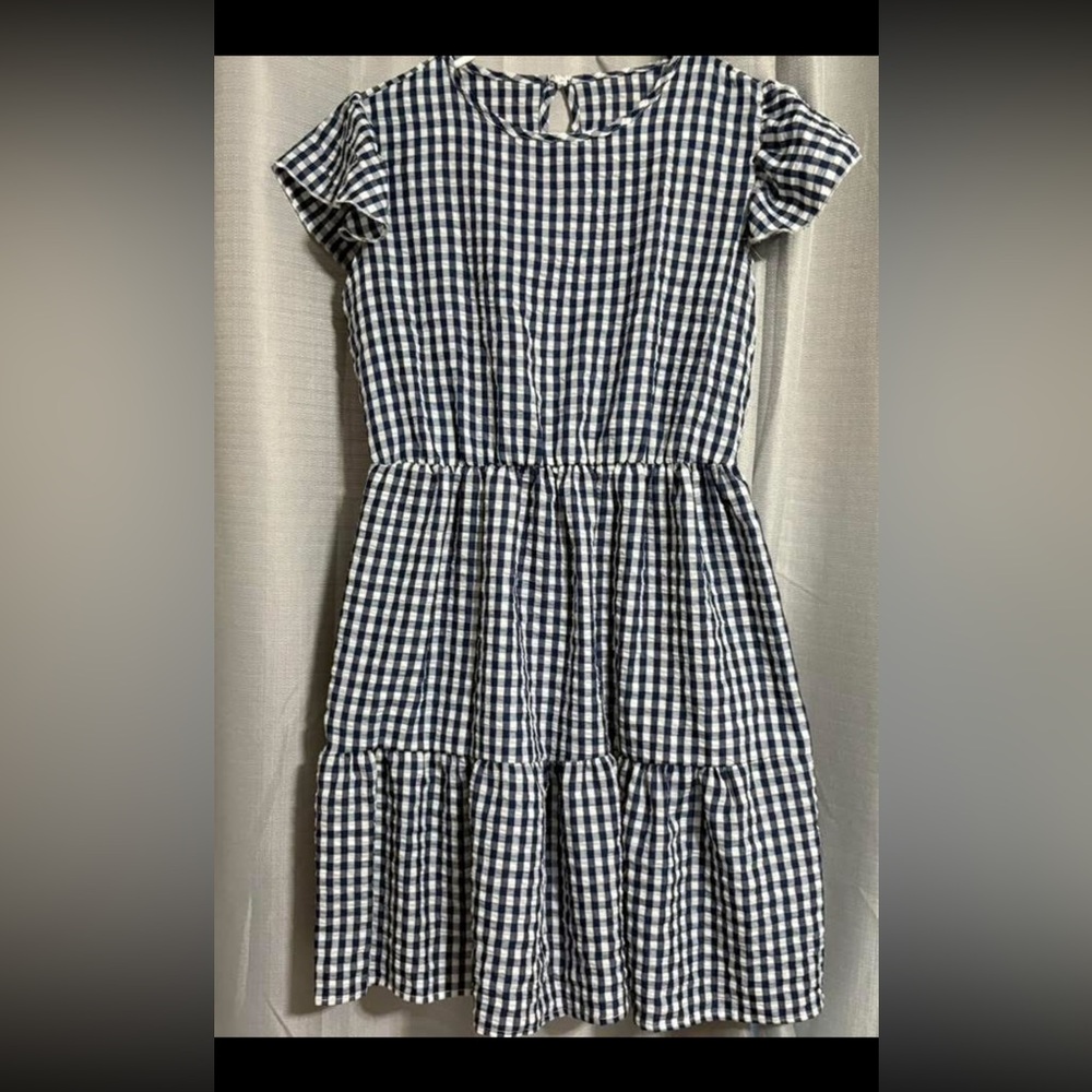 Blue and White Gingham Dress